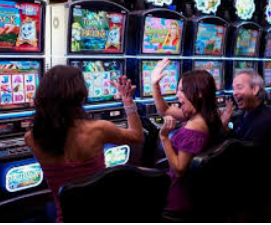 壹号168pg下载电脑免费版